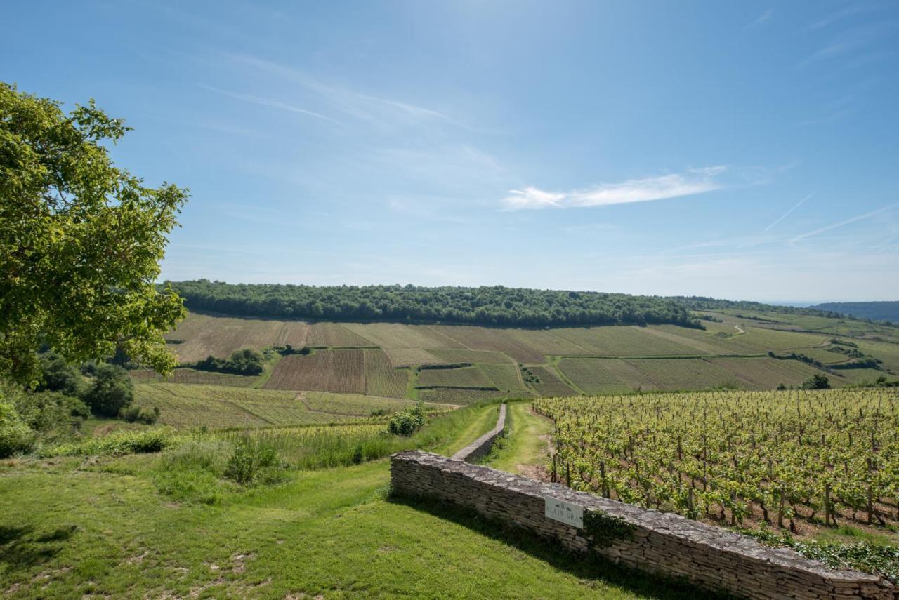 Chez Joseph - Au Coeur Des Vignes De Saint-Romain Dış mekan fotoğraf